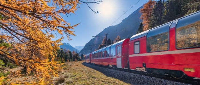 train rolling along scenic railway in autumn