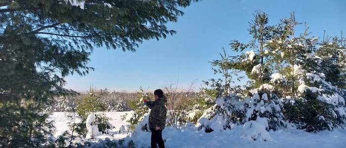 Person standing in a snowy wooded landscape on a clear winter day, representing simple outdoor moments that cost nothing and support intentional living.