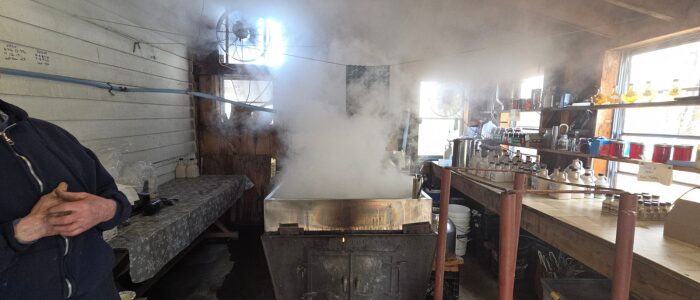 Inside a sugar house at Swain Family Farm, maple sap boiling into syrup with steam rising from the evaporator during Maple Weekend